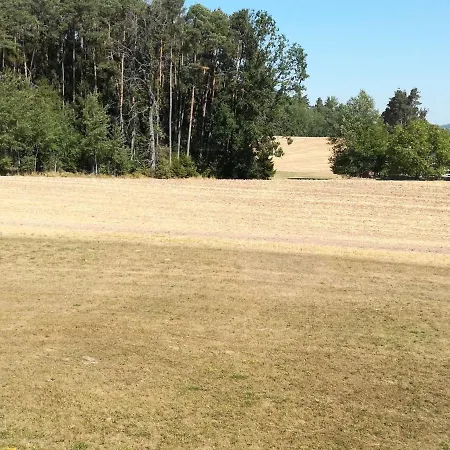 Am Waldrand